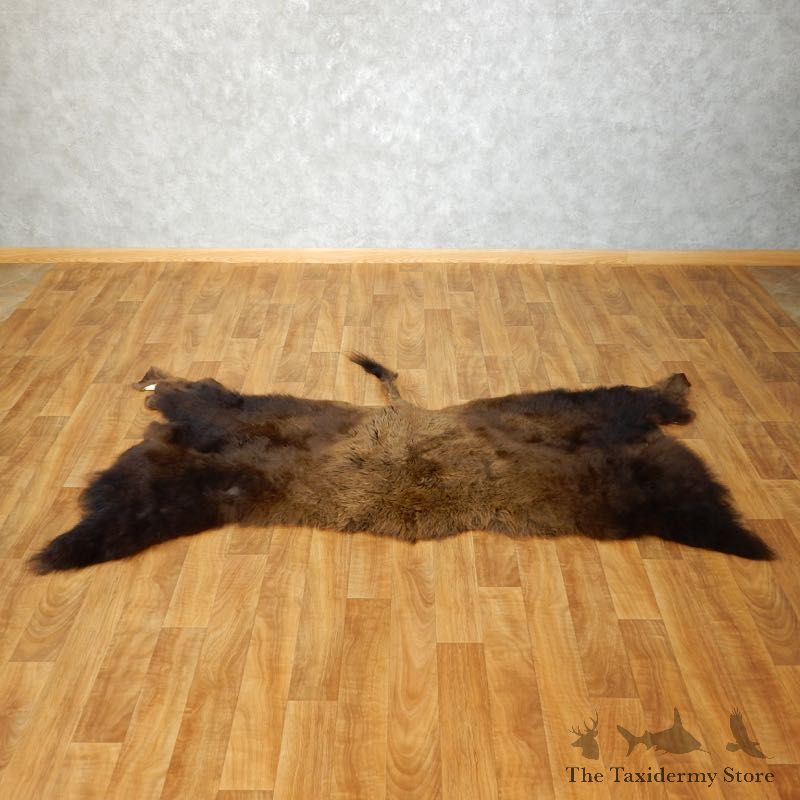 American Buffalo Bison Circle Taxidermy Rug For Sale #17444 - The Taxidermy Store