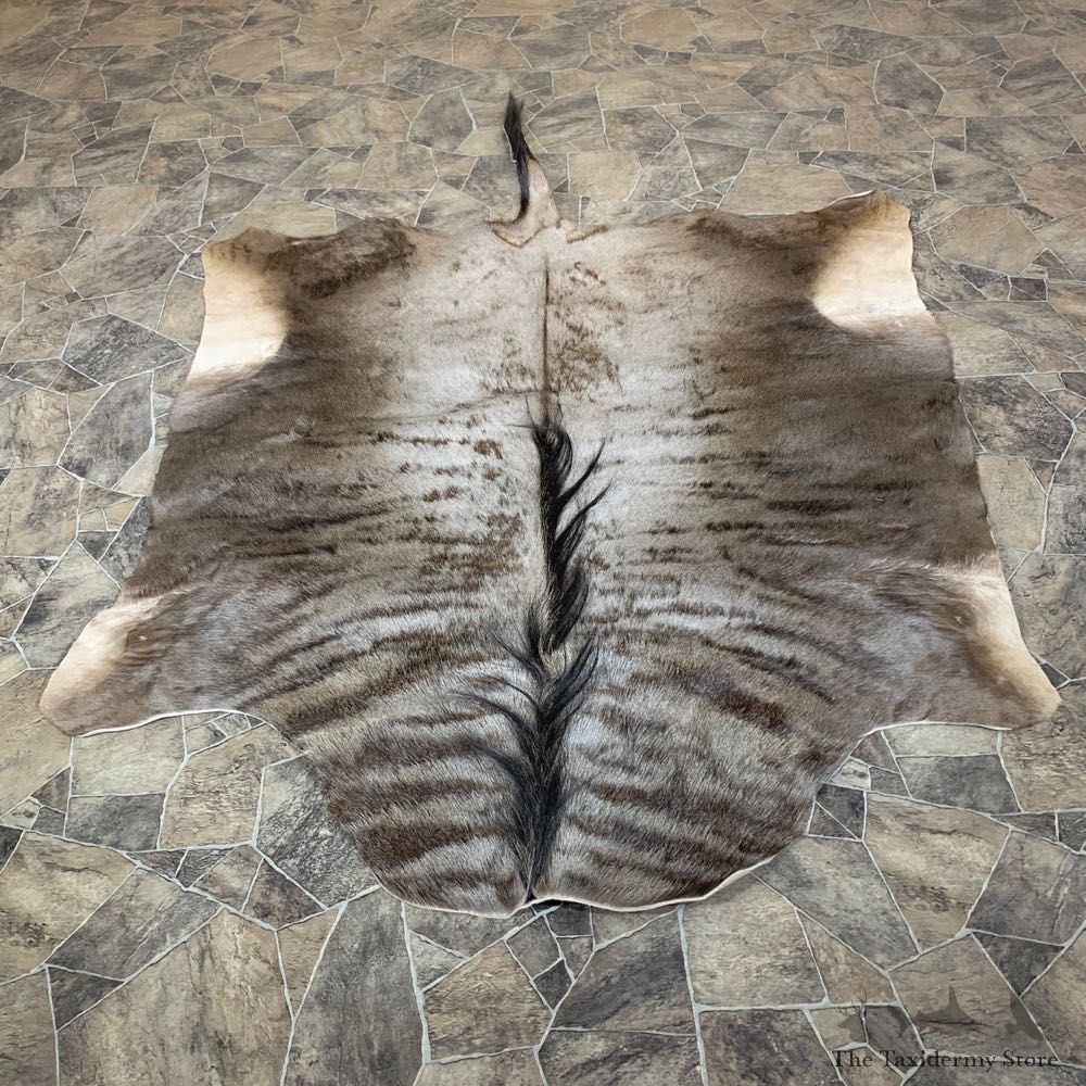 Blue Wildebeest Taxidermy Rug For Sale #22754 @ The Taxidermy Store