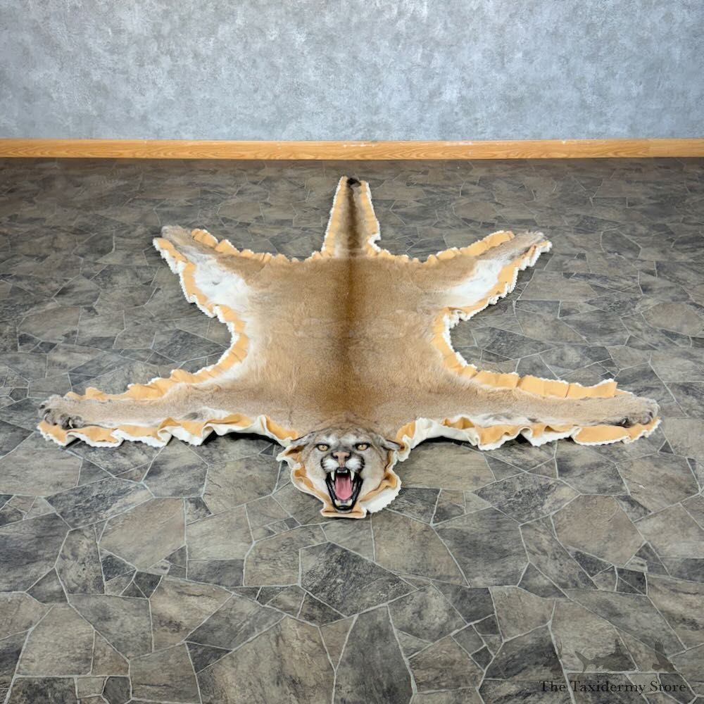 Mountain Lion Full-Size Rug For Sale #28860 @ The Taxidermy Store