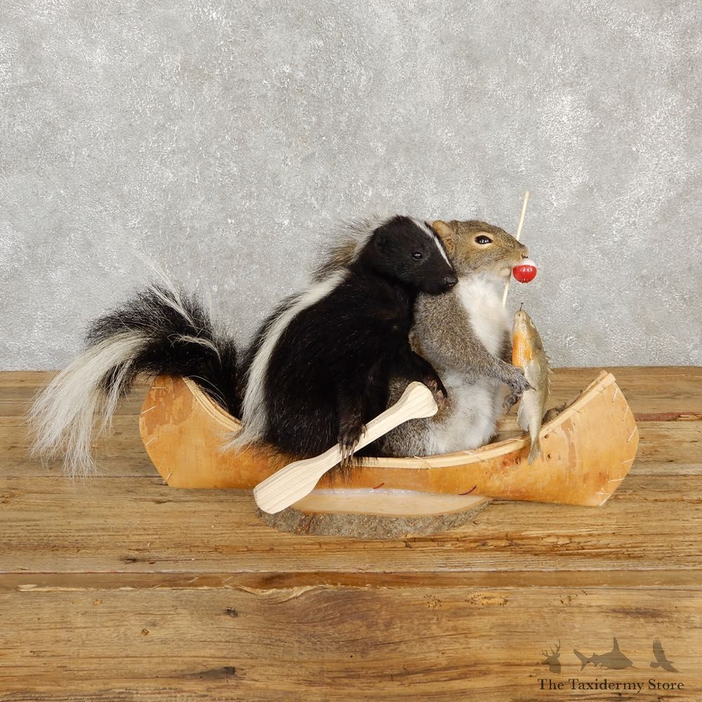 Canoeing Squirrel and Skunk Novelty Mount For Sale #20211 @ The Taxidermy Store