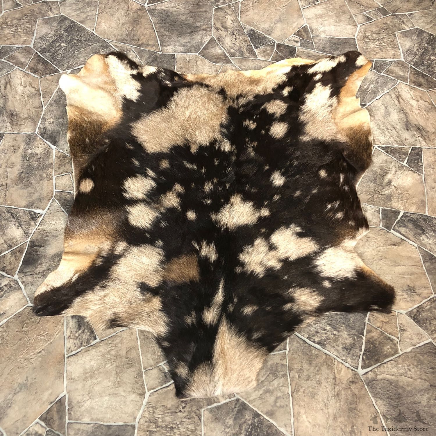 Goat Hide Taxidermy Tanned Skin For Sale #20091 @ The Taxidermy Store