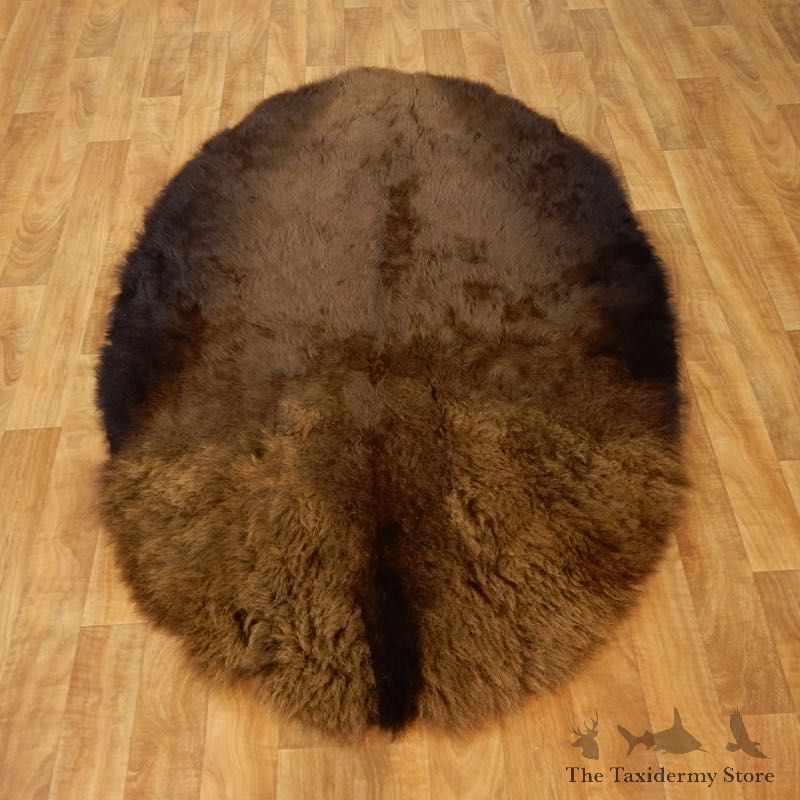 American Buffalo Bison Circle Taxidermy Rug For Sale #17444 @ The Taxidermy Store