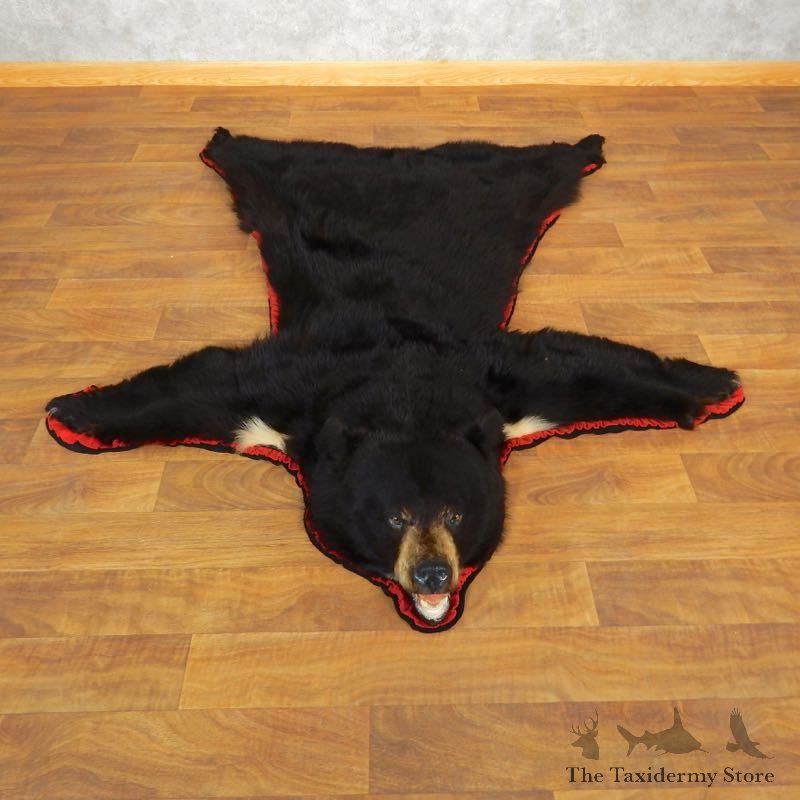 Black Bear Full-Size Rug For Sale #17859 @ The Taxidermy Store