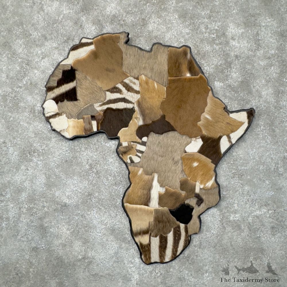 African Continent Hide Wall Decor For Sale #29599 @ The Taxidermy Store