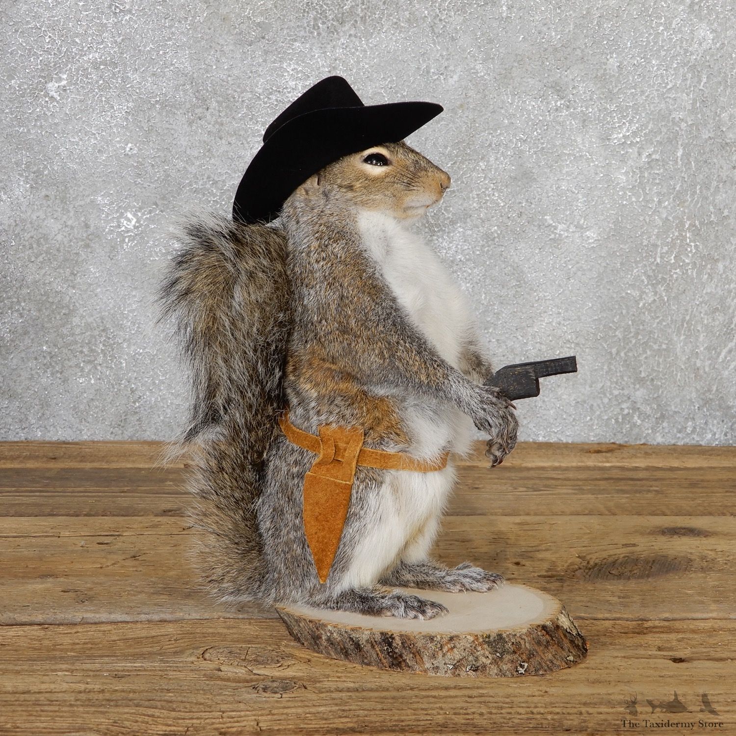 Cowboy Squirrel Novelty Mount For Sale #19067 @ The Taxidermy Store