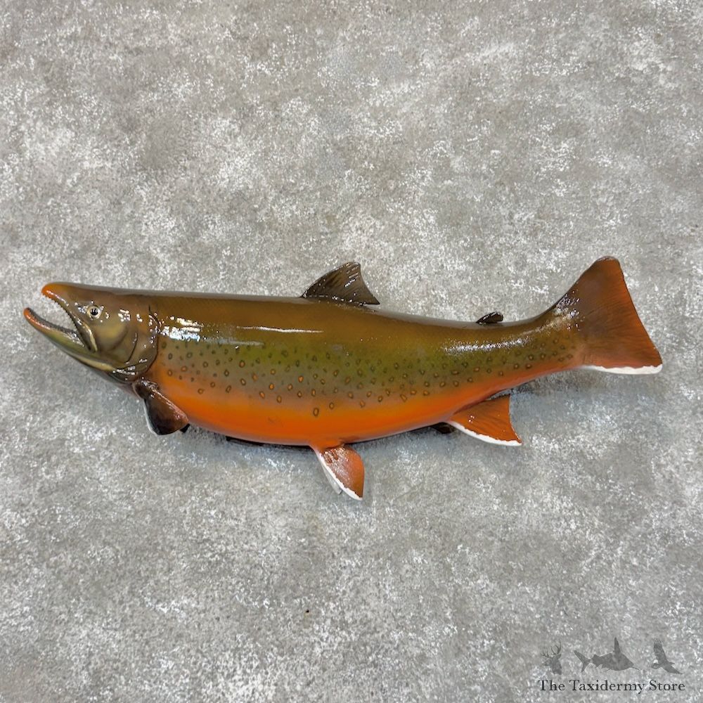 Arctic Char Fish Mount For Sale #30114 @ The Taxidermy Store