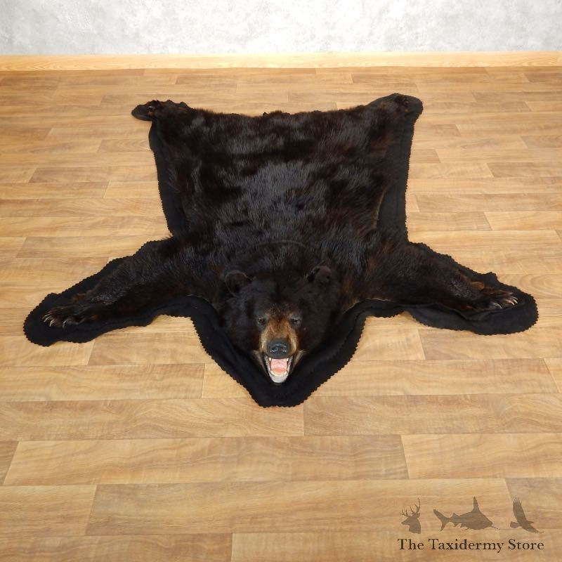 Black Bear Full-Size Rug For Sale #17861 @ The Taxidermy Store