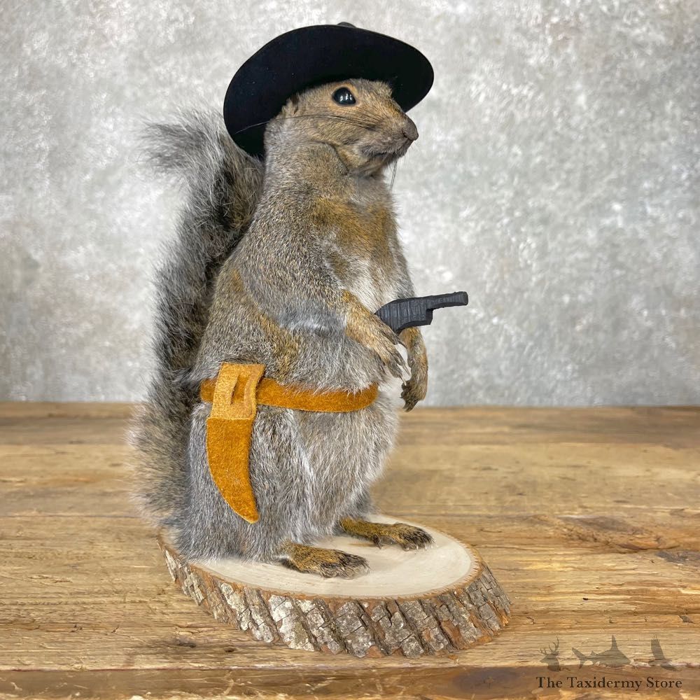 Cowboy Squirrel Novelty Mount For Sale #24972 - The Taxidermy Store