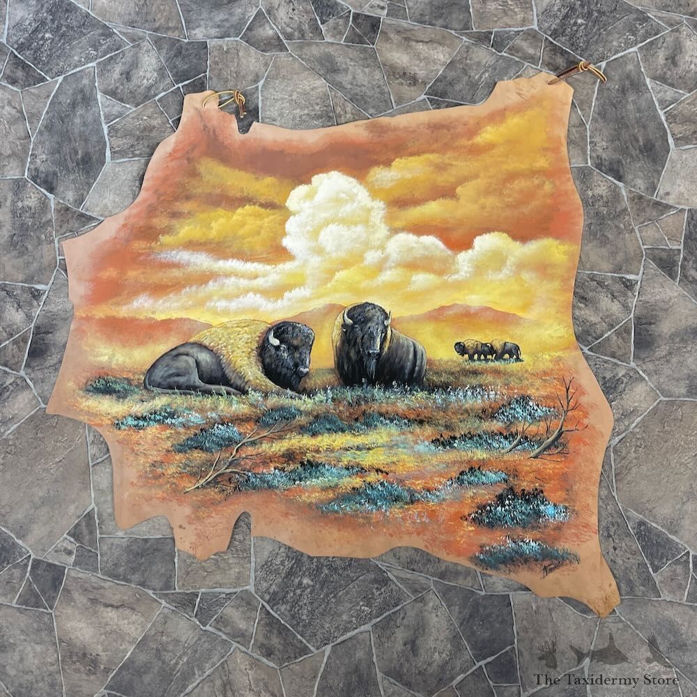 Painted Leather Hide Decor For Sale #27885 @ The Taxidermy Store