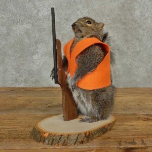 Hunting Squirrel Novelty Mount For Sale #16802 @ The Taxidermy Store