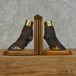 Sable Antelope Book Ends For Sale #16264 @ The Taxidermy Store