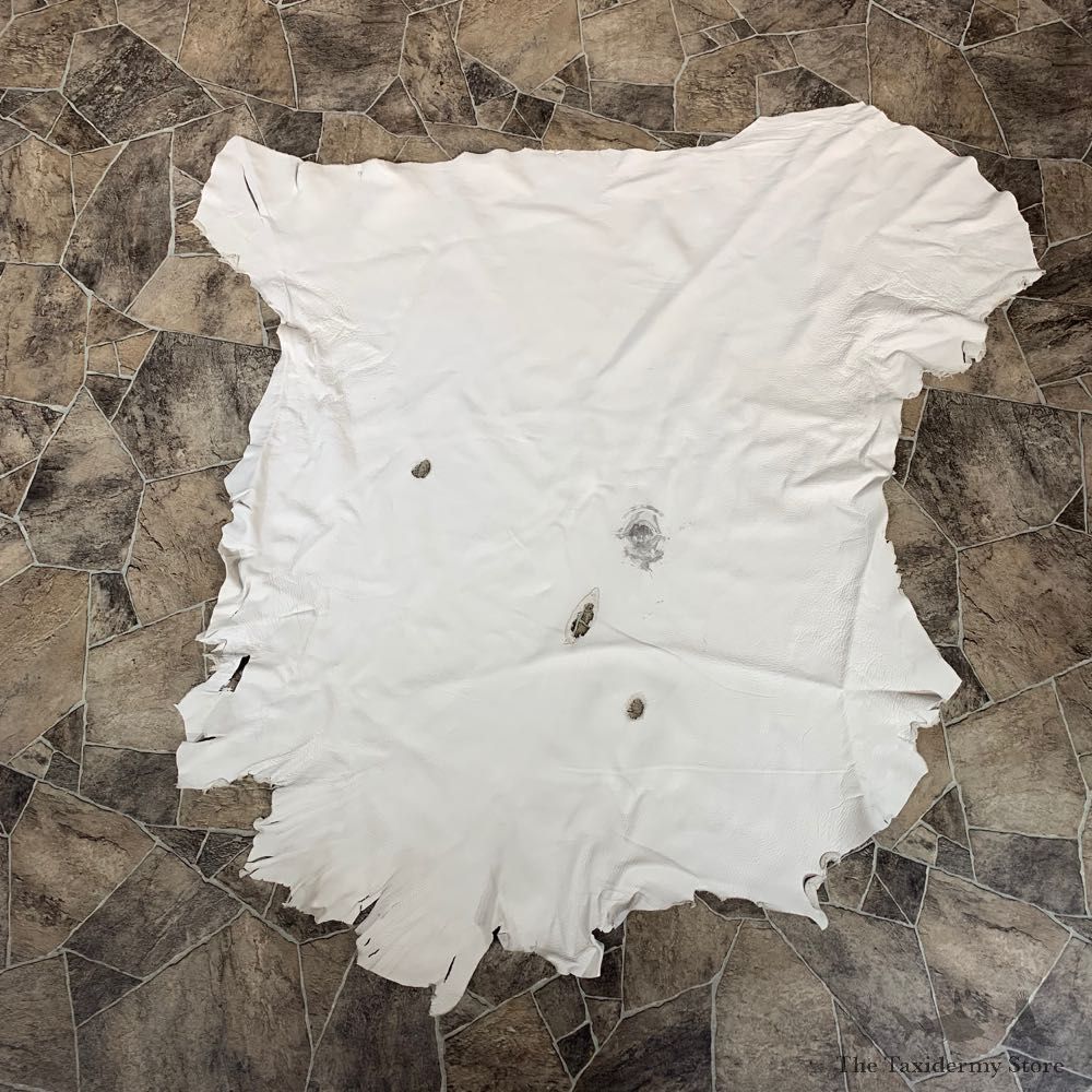 Buckskin Soft Tan Leather For Sale #22034 @ The Taxidermy Store