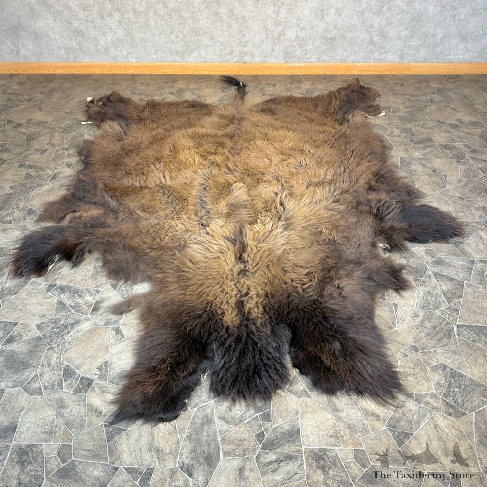 American Buffalo Bison Hide For Sale #28829 - The Taxidermy Store