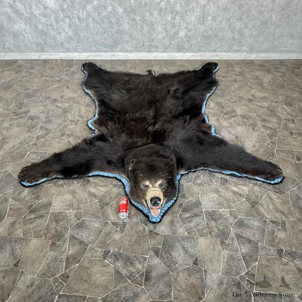 Black Bear Full-Size Rug For Sale #31034 @ The Taxidermy Store