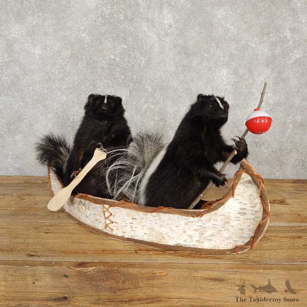 Canoeing Squirrel and Skunk Novelty Mount For Sale #20208 @ The Taxidermy Store