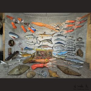 Saltwater Ocean Life Scene Bundle For Sale #R7165 @ The Taxidermy Store