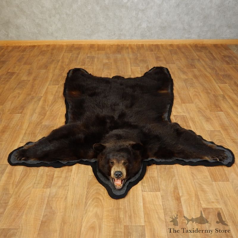 Black Bear Full-Size Rug For Sale #17256 @ The Taxidermy Store