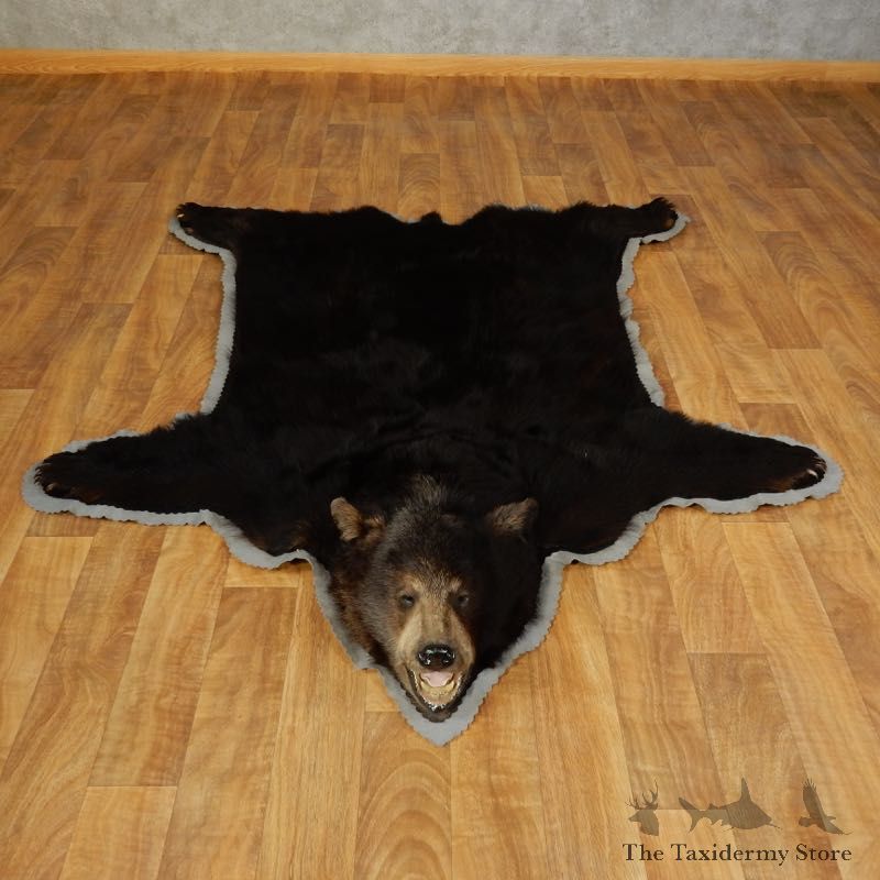 Black Bear Full-Size Rug For Sale #17258 @ The Taxidermy Store
