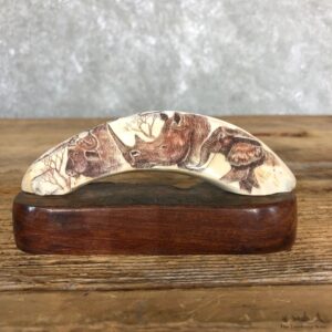Scrimshawed Warthog Tooth For Sale #19575 @ The Taxidermy Store