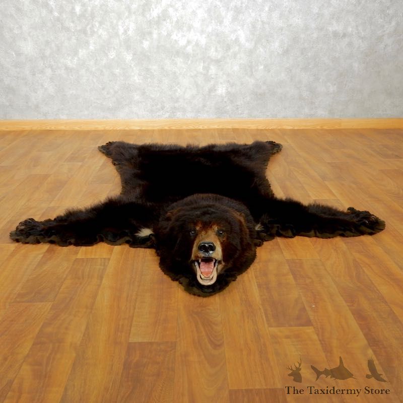 Black Bear Full-Size Rug For Sale #17503 @ The Taxidermy Store