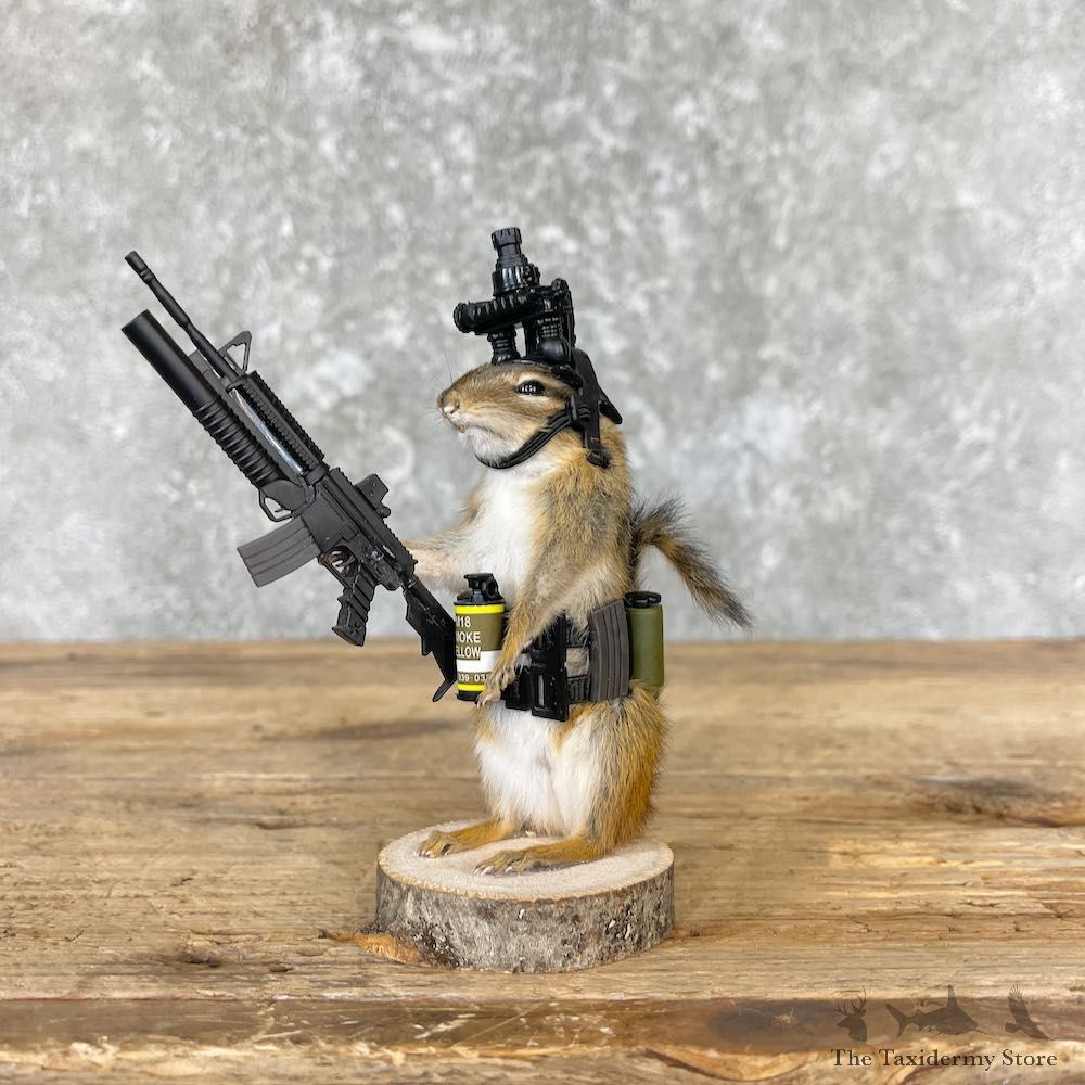 Tactical Chipmunk Novelty Mount For Sale #26685 @ The Taxidermy Store