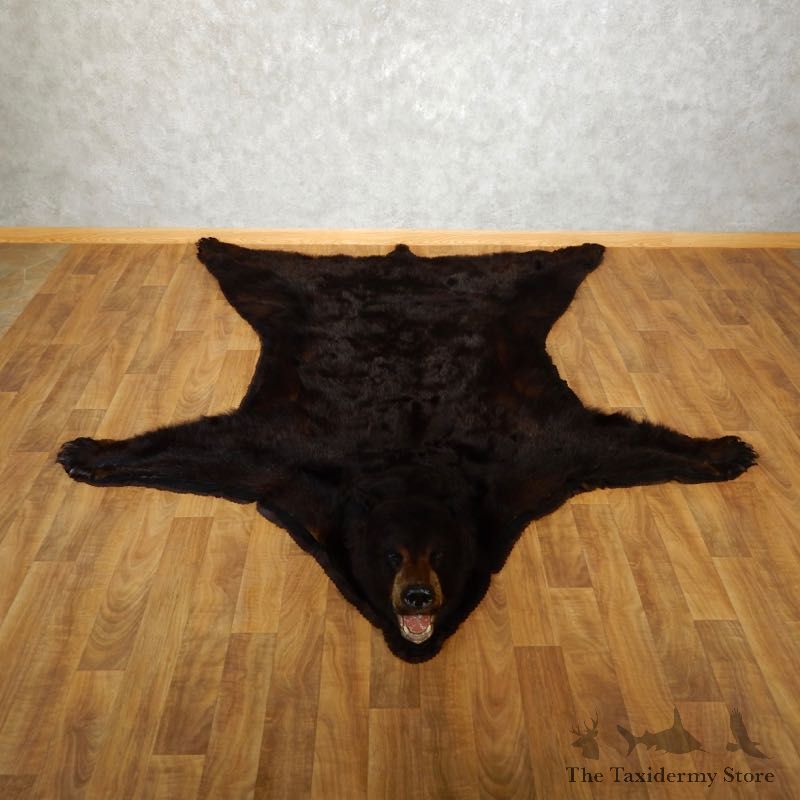 Black Bear Full-Size Rug For Sale #17508 @ The Taxidermy Store