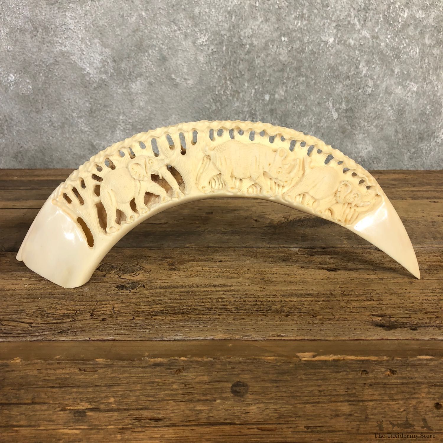 Carved Hippopotamus Tooth For Sale #19962 @ The Taxidermy Store