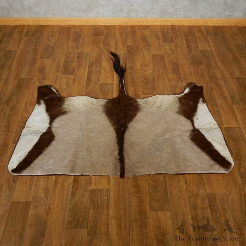 Gemsbok Rug Mount For Sale #17506 @ The Taxidermy Store