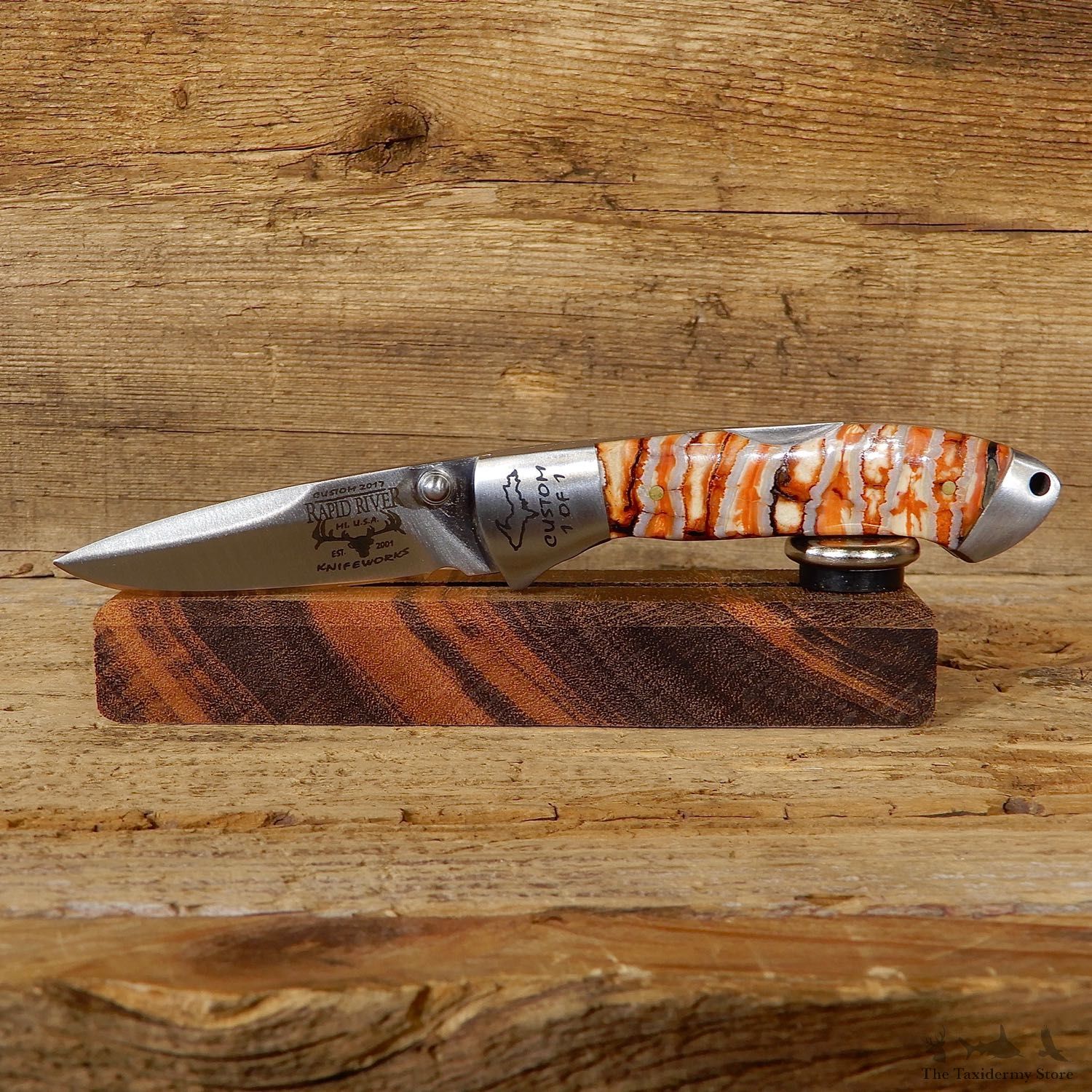 Custom Folding Pocket Knife with Mammoth Tooth Handle For Sale #19232 @ The Taxidermy Store