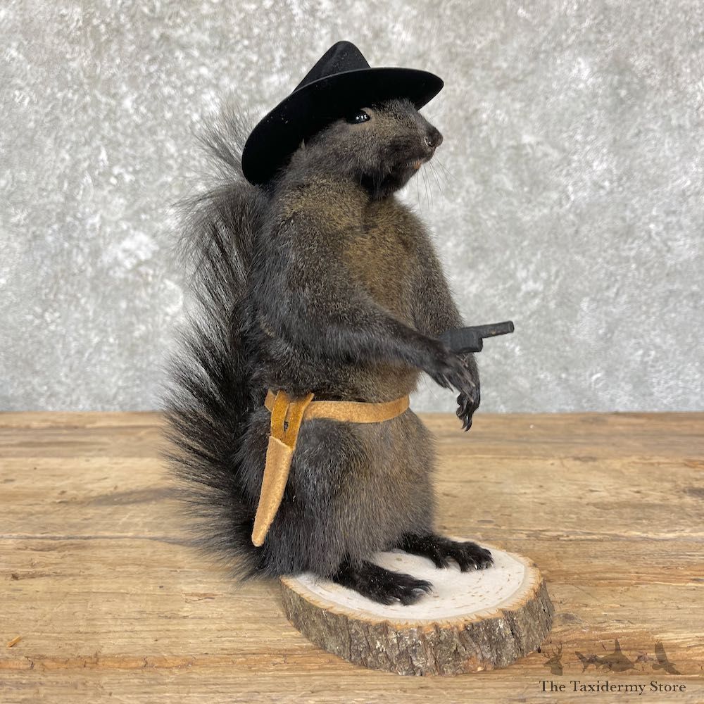 Cowboy Squirrel Novelty Mount For Sale #26395 @ The Taxidermy Store