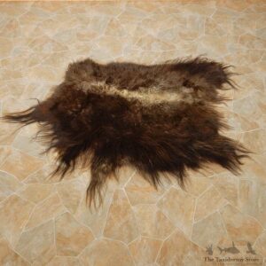 Muskox Hide For Sale #14732 @ The Taxidermy Store