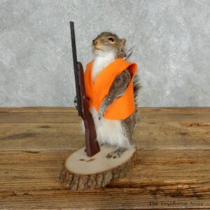 Hunting Squirrel Novelty Mount For Sale #18039 @ The Taxidermy Store