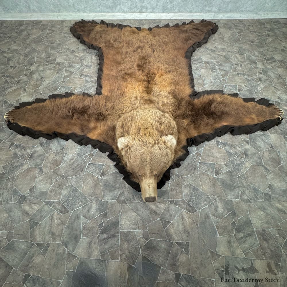Grizzly Bear Full Size Rug Mount For Sale #29308 @ The Taxidermy Store