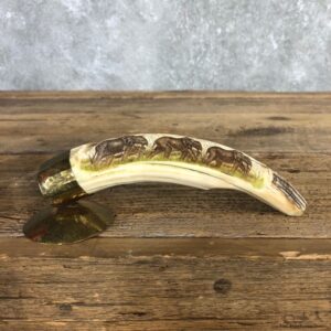 Scrimshawed Hippopotamus Tooth For Sale #19953 @ The Taxidermy Store