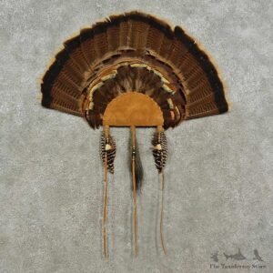 Eastern Wild Turkey Fan For Sale #16963 @ The Taxidermy Store