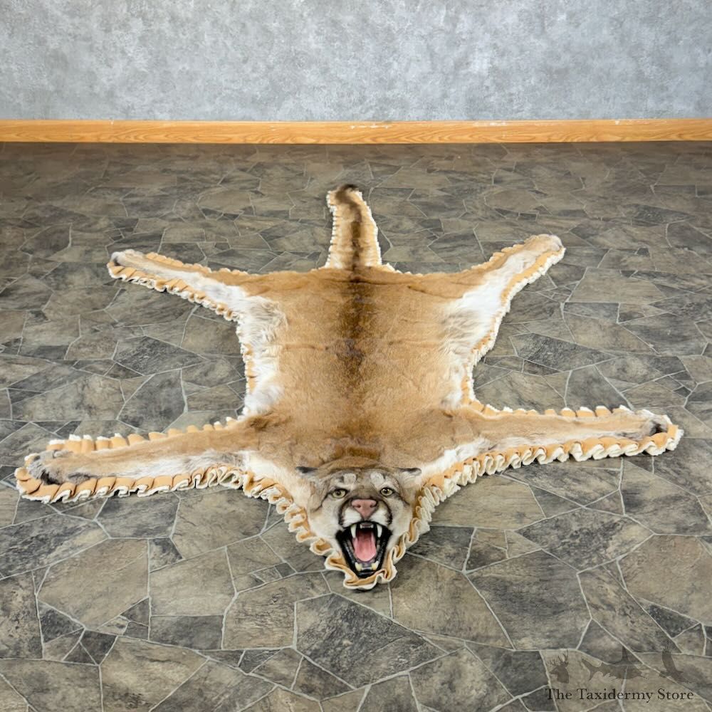 Mountain Lion Full-Size Rug For Sale #28856 @ The Taxidermy Store