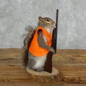Hunting Squirrel Novelty Mount For Sale #18040 @ The Taxidermy Store
