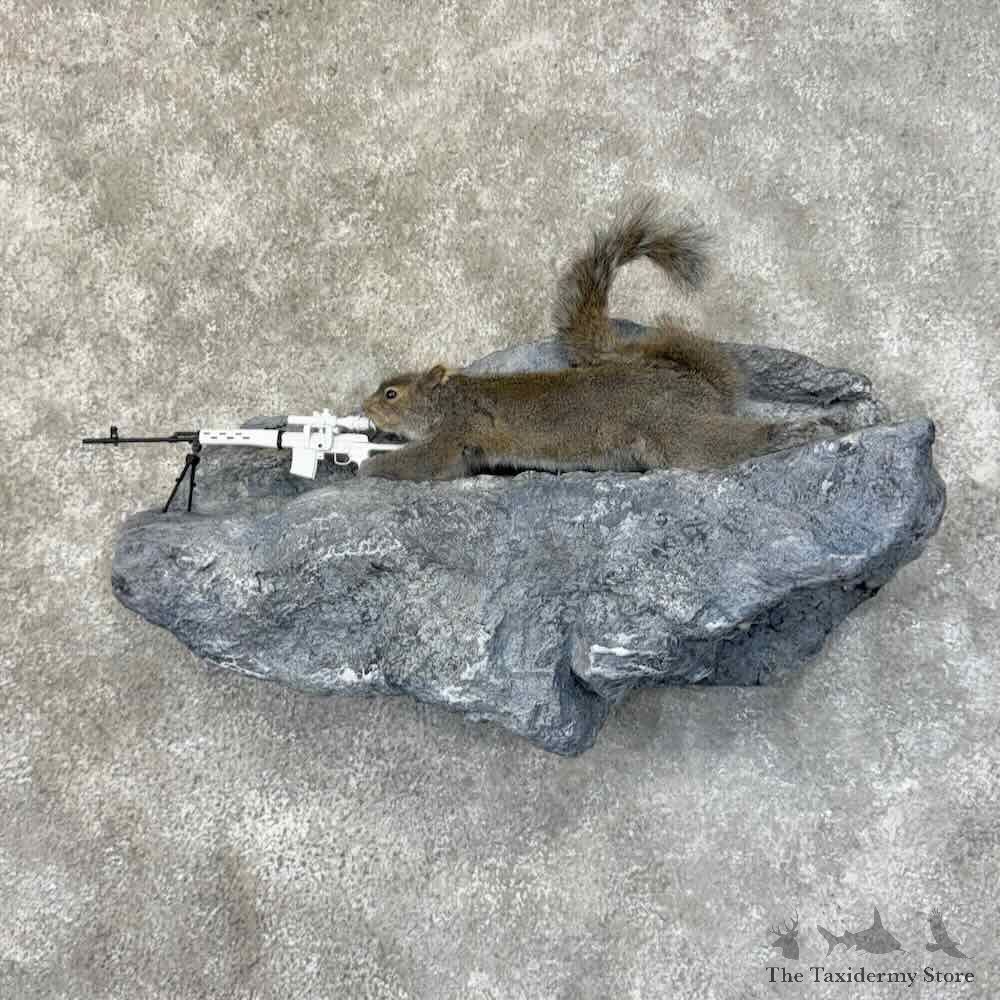 Sniper Squirrel Novelty Mount For Sale #31478 @ The Taxidermy Store