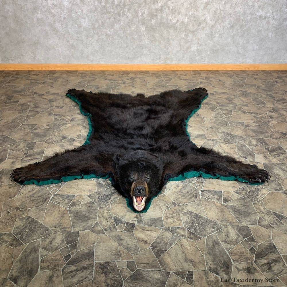 Black Bear Full-Size Rug For Sale #22538 @ The Taxidermy Store