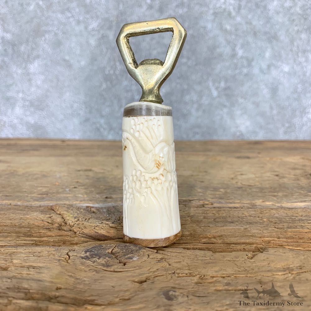Carved Bone Bottle Opener For Sale #21800 @ The Taxidermy Store
