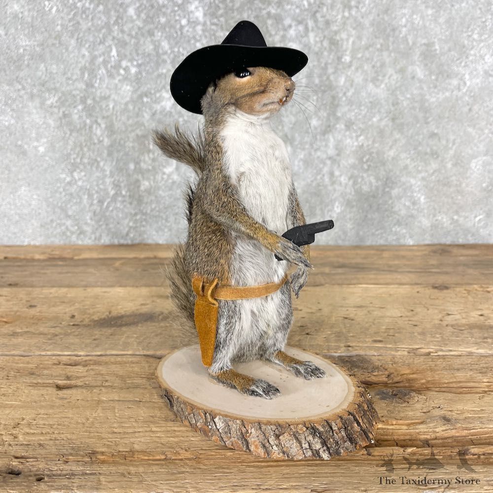 Cowboy Squirrel Novelty Mount For Sale #25537 - The Taxidermy Store