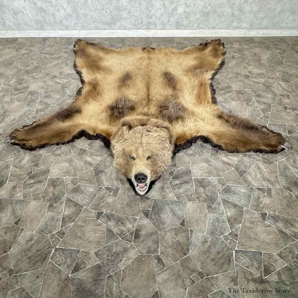 Grizzly Bear Full Size Rug Mount For Sale #31023 @ The Taxidermy Store