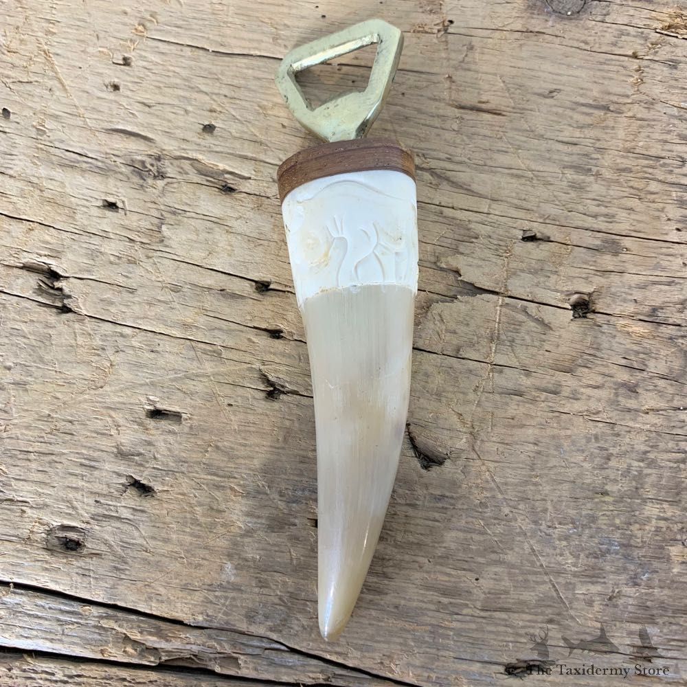 Carved Bone Bottle Opener For Sale #21801 @ The Taxidermy Store