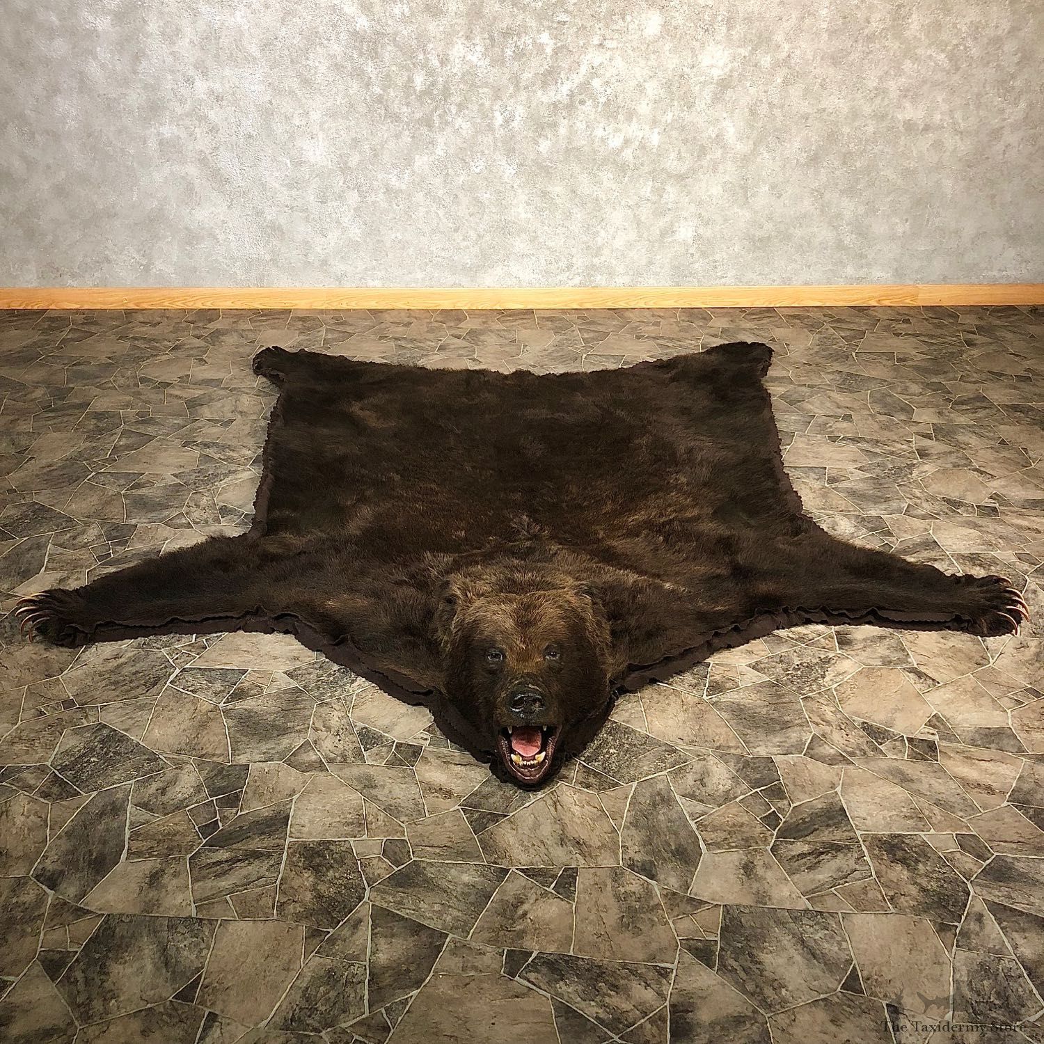Brown Bear Full-Size Taxidermy Rug For Sale 20084 @ The Taxidermy Store