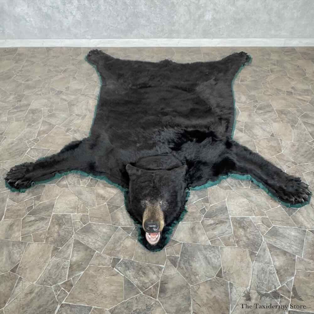 Black Bear Full-Size Rug For Sale #31040 @ The Taxidermy Store