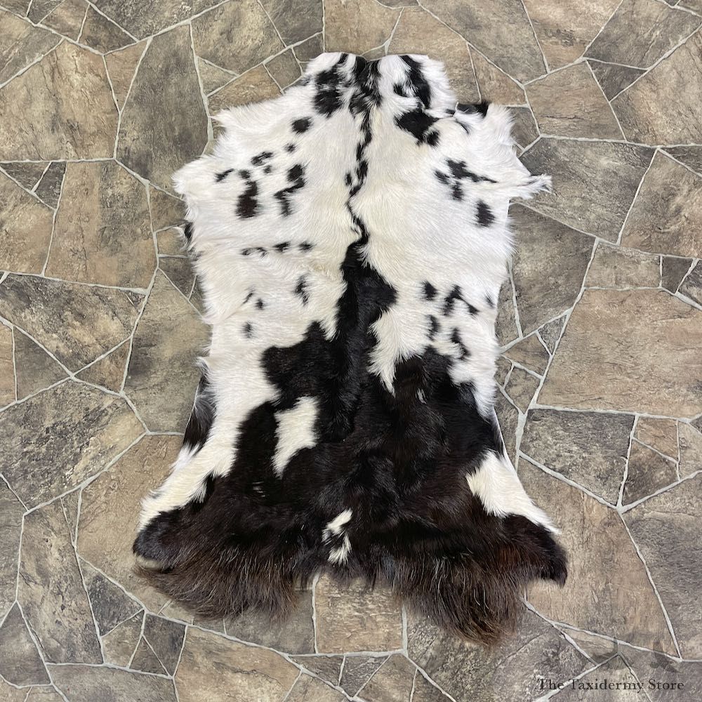 Goat Hide Taxidermy Tanned Skin For Sale #25319 @ The Taxidermy Store