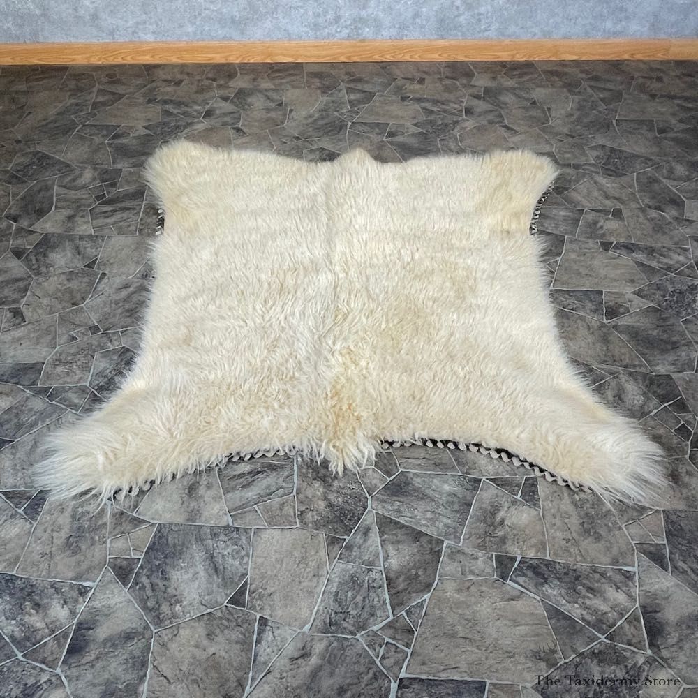 Mountain Goat Throw Rug #24683 For Sale @ The Taxidermy Store