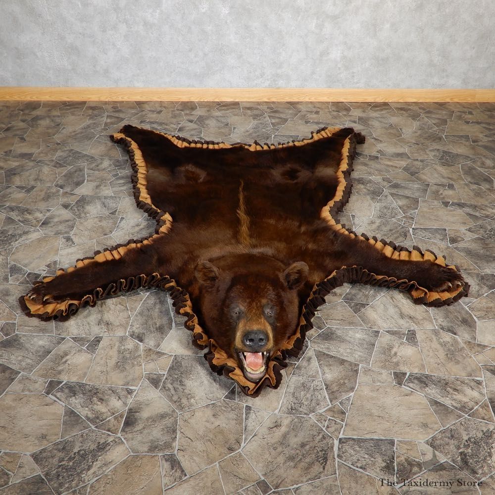 Cinnamon Phase Black Bear Full-Size Rug For Sale #18980 @ The Taxidermy Store