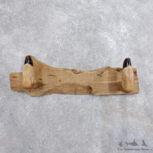 Whitetail Deer Hoof Gun Rack Taxidermy Mount For Sale #18742 @ The Taxidermy Store