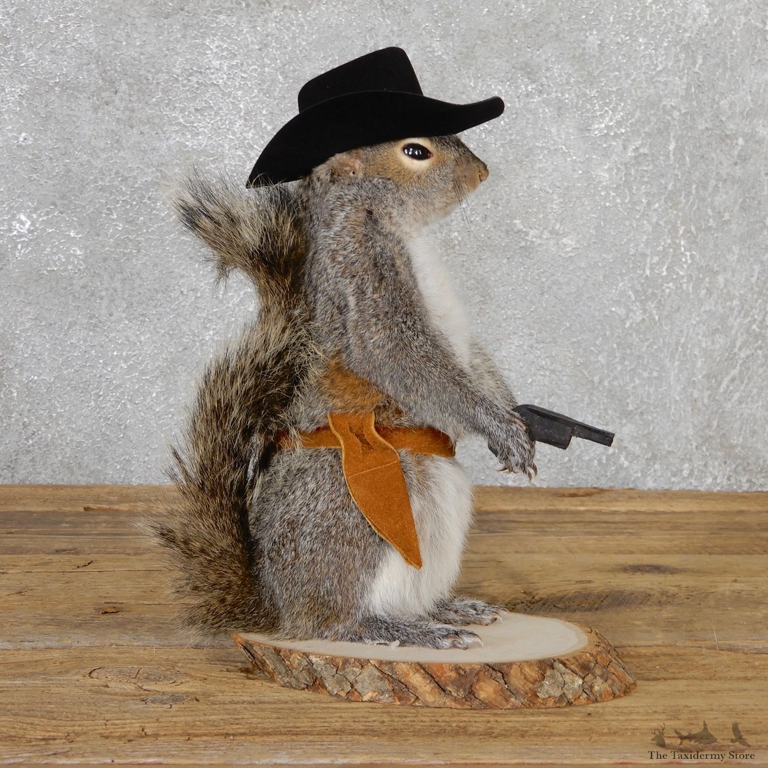 Cowboy Squirrel Novelty Mount For Sale #19062 @ The Taxidermy Store